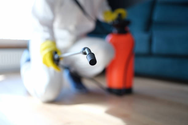 Best Environmental Consulting for Mold Prevention  in South Blooming Grove, NY